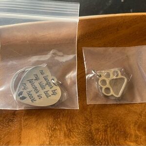 Engraved Heart Pet Memorial Keychain with Paw Print Charm - Silver